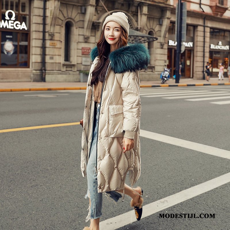Dames Donsjassen Online Trend Groot Mode 2019 Eendendons Blauw Wit
