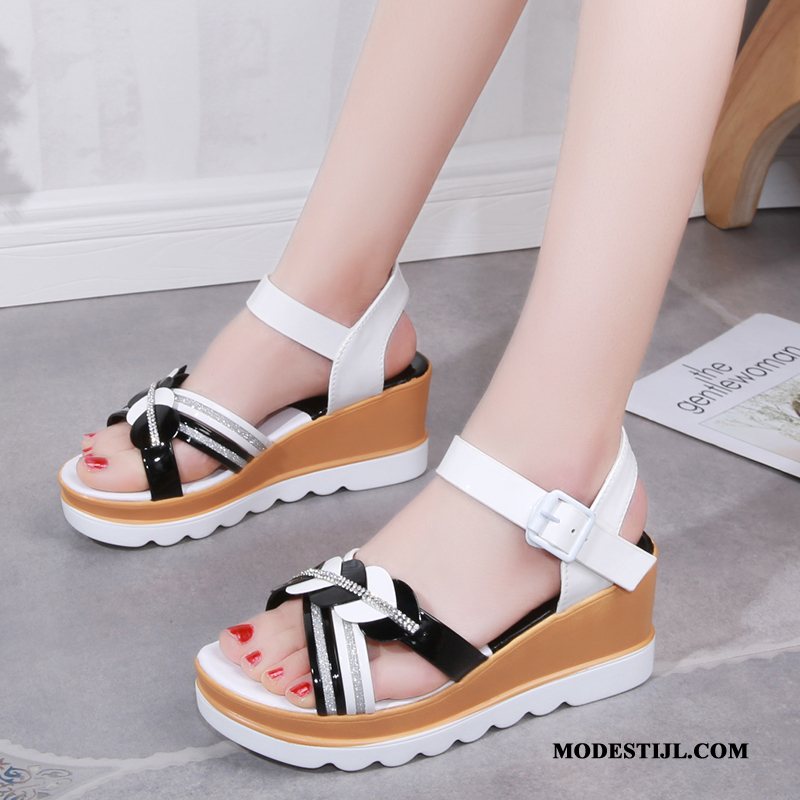 Dames Sandalen Goedkoop 2019 Trend Zomer Student Super Rood Zwart