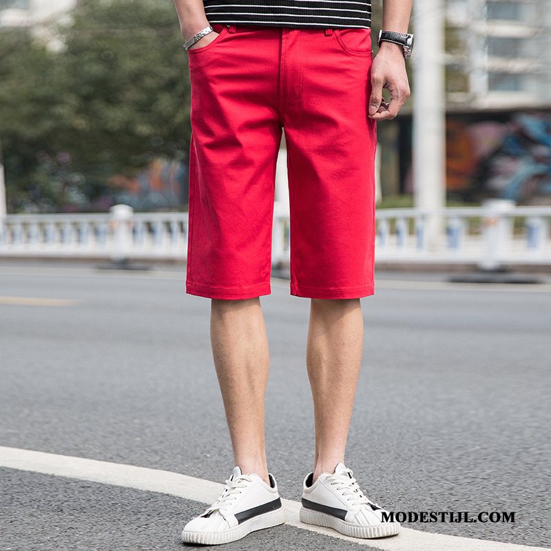 Heren Shorts Online Slim Fit Groot Elastiek Katoen Mannen Effen Kleur Rood